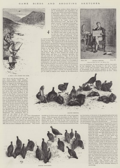 Game Birds and Shooting Sketches by John Guille Millais
